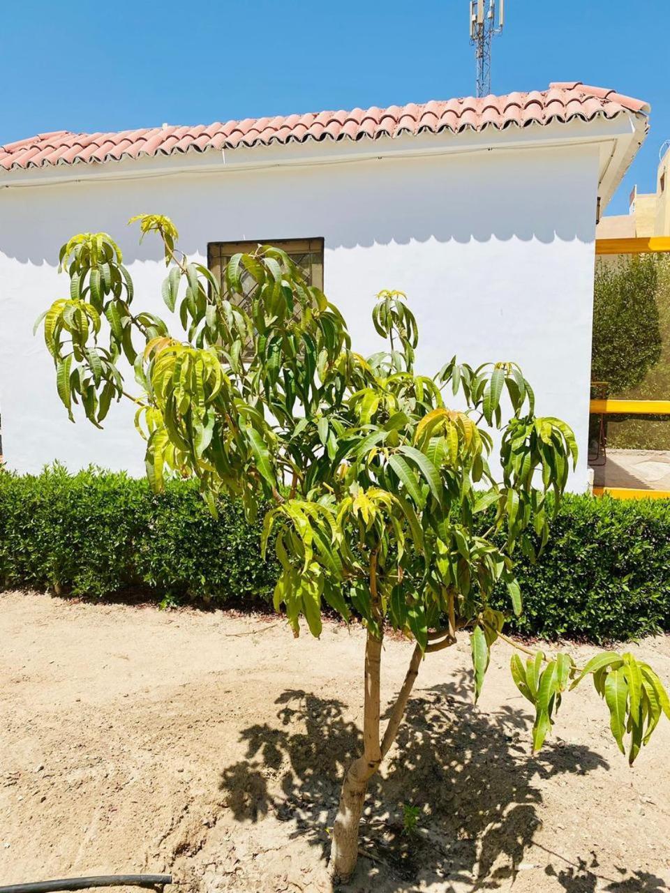 Vila Happiness Majawish, Close To The Center